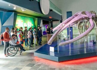 Personas con discapacidad participan en actividades del SMDIF Personas