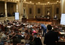 Reformas contra violencia vicaria serán votadas antes del 15 de julio Reformas