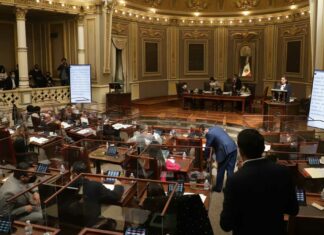 Reformas contra violencia vicaria serán votadas antes del 15 de julio Reformas