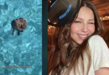 Thalía rescata a ratoncito de una piscina y se vuelve viral Thalía