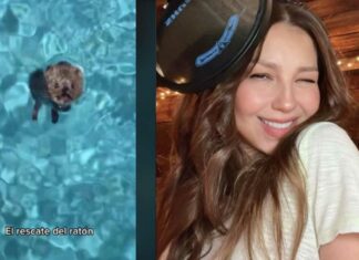 Thalía rescata a ratoncito de una piscina y se vuelve viral Thalía