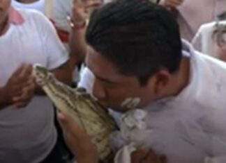 Edil se casa con un caimán para tener abundancia en Oaxaca