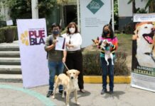 Entregan en adopción a 3 canes en “Martes Ciudadano”