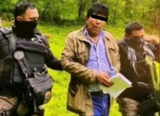 Detienen a Rafael Caro Quintero en Sinaloa