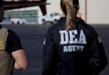 DEA confirma participación en captura de Caro Quintero