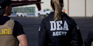 DEA confirma participación en captura de Caro Quintero