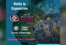 Conoce las actividades culturales para este fin de semana Actividades