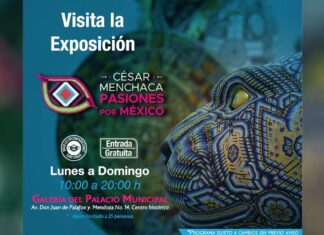 Conoce las actividades culturales para este fin de semana Actividades