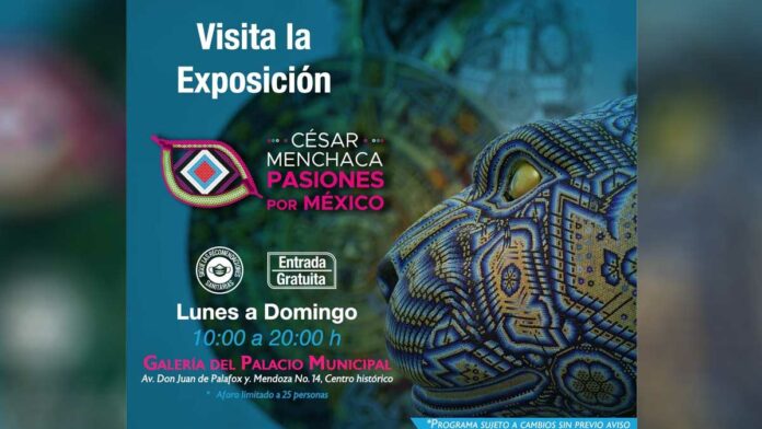 actividades Actividades