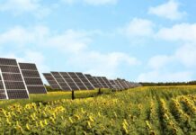 Desarrolla alumna de la Ibero modelos de agricultura solar en Atlixco Agricultura Solar
