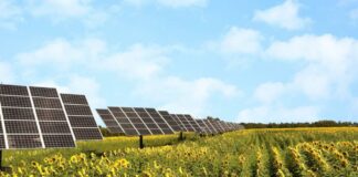 Desarrolla alumna de la Ibero modelos de agricultura solar en Atlixco Agricultura Solar