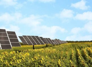 Desarrolla alumna de la Ibero modelos de agricultura solar en Atlixco Agricultura Solar