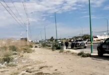 Localizan cadáver de bebé junto a la federal México-Veracruz Bebé