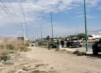 Localizan cadáver de bebé junto a la federal México-Veracruz Bebé