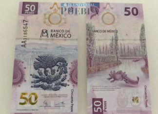 ¿Cuánto cuesta fabricar el billete de 50 pesos del ajolote? cuesta
