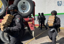¡Histórico! Decomisan 1.6 toneladas de cocaína en CDMX histórico