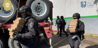 ¡Histórico! Decomisan 1.6 toneladas de cocaína en CDMX histórico