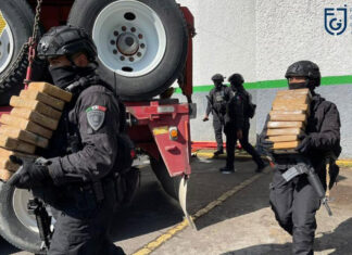 ¡Histórico! Decomisan 1.6 toneladas de cocaína en CDMX histórico