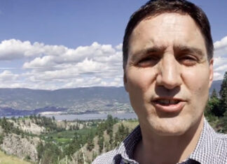 Llueven memes a Justin Trudeau por cambio de look memes