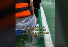 Titanic ¿Eres tú? ¡No! Es una lancha en la Huasteca Potosina Titanic Tiktok Huasteca