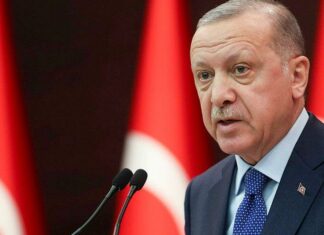 Erdogan, presidente de Turquía pospone su visita a México