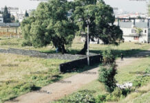 ¡Se suicidó! Sujeto se cuelga de un árbol en Cuautlancingo sujeto