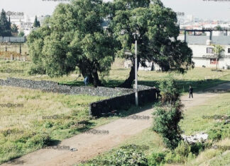 ¡Se suicidó! Sujeto se cuelga de un árbol en Cuautlancingo sujeto