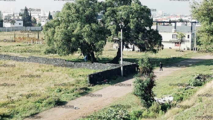 sujeto