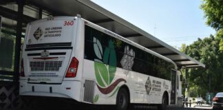 Habrá tarjetas especiales de RUTA ¿Quiénes las recibirán? Tarjetas