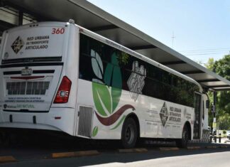 Habrá tarjetas especiales de RUTA ¿Quiénes las recibirán? Tarjetas