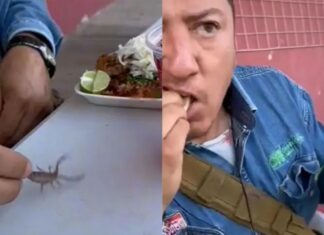 Taco de birria con alacrán, el ‘Viagra Mexicano’