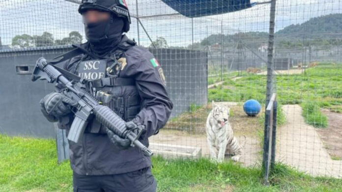 zoológicos