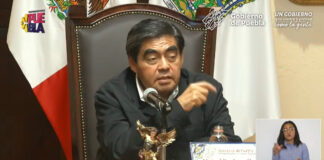 Pide Barbosa determinar responsabilidades por caída de árbol en CH Barbosa