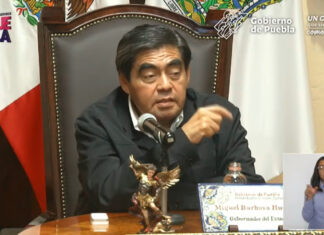 Pide Barbosa determinar responsabilidades por caída de árbol en CH Barbosa