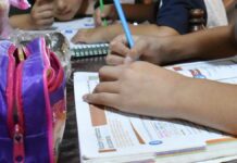 Educación “va para atrás”: Especialista, sobre nuevo plan de estudios Educación