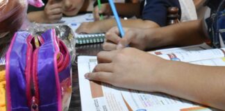 Educación “va para atrás”: Especialista, sobre nuevo plan de estudios Educación