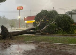 Tromba deja un menor muerto, una mujer herida y más de 10 árboles caídos en Puebla