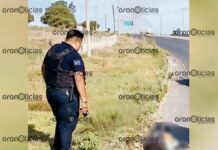 Hombre muere atropellado en la federal Puebla-Tehuacán Hombre