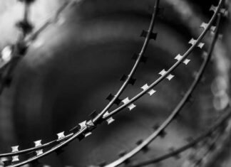 Homicidio cometido en 2002 es castigado con 31 años de prisión Homicidio