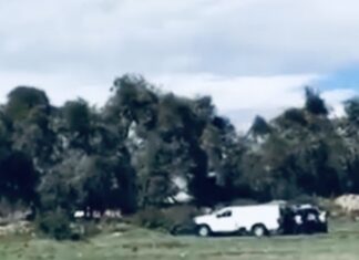 Hallan a joven asesinado a golpes en Amozoc