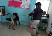 Por amenaza de bomba evacuan preescolar en Puebla