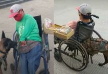 Perrita empuja a su dueño en silla de ruedas para vender dulces Perrita