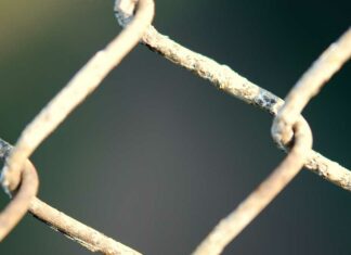 Secuestro llevará a hombre 70 años a prisión Secuestro