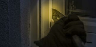 Sujetos rompen chapas y roban escuela en Texmelucan Sujetos