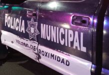 Vehículos oficiales dañados serán vendidos: Adán Domínguez Vehículos