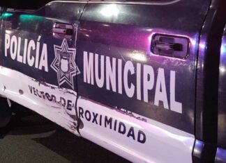 Vehículos oficiales dañados serán vendidos: Adán Domínguez Vehículos