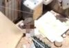 Denuncian a vecino por alimentar a su perro con otro perro en Galaxia La Calera