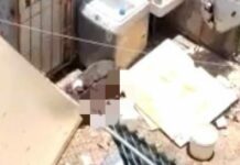 Denuncian a vecino por alimentar a su perro con otro perro en Galaxia La Calera