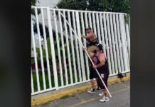 Cartel de Santa ayuda a joven a cortar mangos en plena calle