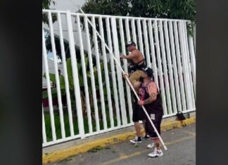 Cartel de Santa ayuda a joven a cortar mangos en plena calle